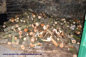 drewno skradzione przez sprawcę