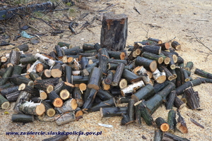 drewno skradzione przez sprawcę