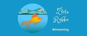 Grafika przedstawiająca złotą rybkę oraz napisy: Złota Rybka, #Grooming. Grafika pochodzi ze strony: www.gov.pl